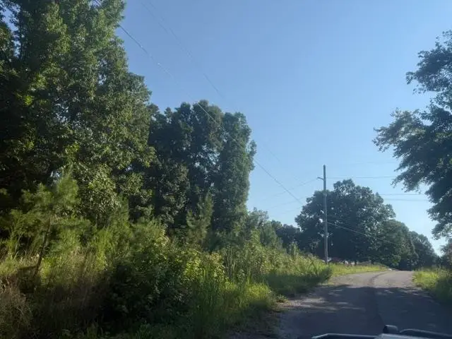 TRACT 1 BELEW HOLLOW HILL RD, Waynesboro, TN 38485 - #2