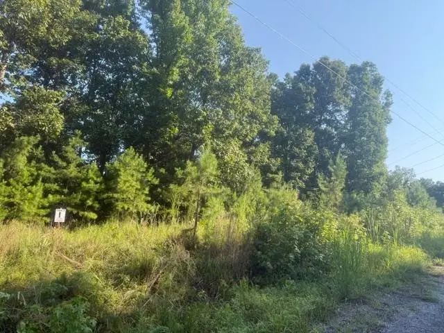 TRACT 1 BELEW HOLLOW HILL RD, Waynesboro, TN 38485 - #3