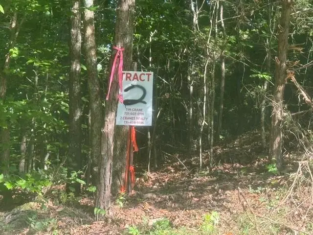 TRACT 2 BELEW HOLLOW HILL RD, Waynesboro, TN 38485 - #2