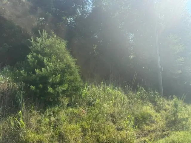 TRACT 3 CARROLL HOLLOW RD, Waynesboro, TN 38485-0000 - #2