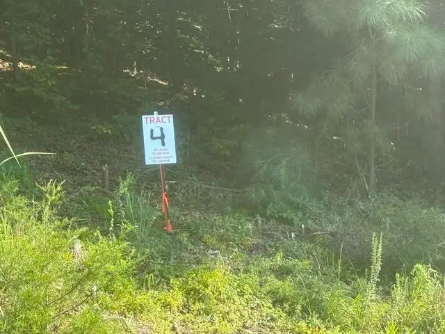 TRACT 4 CARROLL HOLLOW RD, Waynesboro, TN 38485-0000 - #2