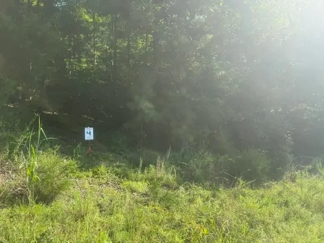 TRACT 4 CARROLL HOLLOW RD, Waynesboro, TN 38485-0000 - #3