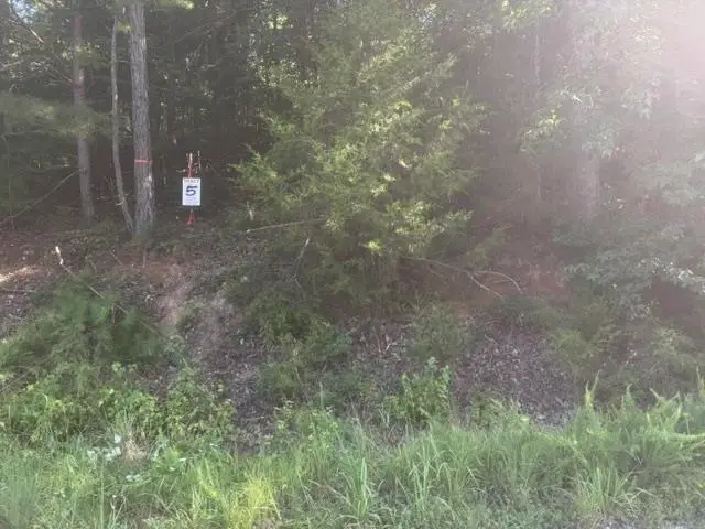 TRACT 5 CARROLL HOLLOW RD, Waynesboro, TN 38485-0000 - #3