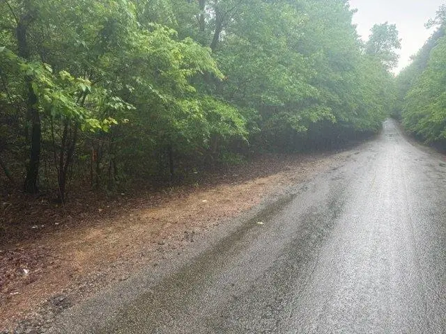 TRACT 7 KING RD, Medon, TN 38356 - #1