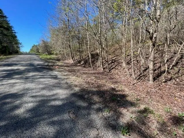 TRACT 7 KING RD, Medon, TN 38356 - #2