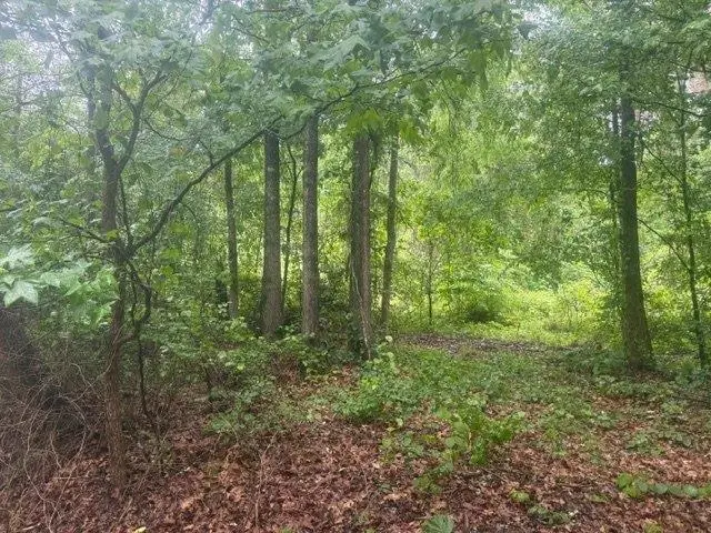 TRACT 7 KING RD, Medon, TN 38356 - #3