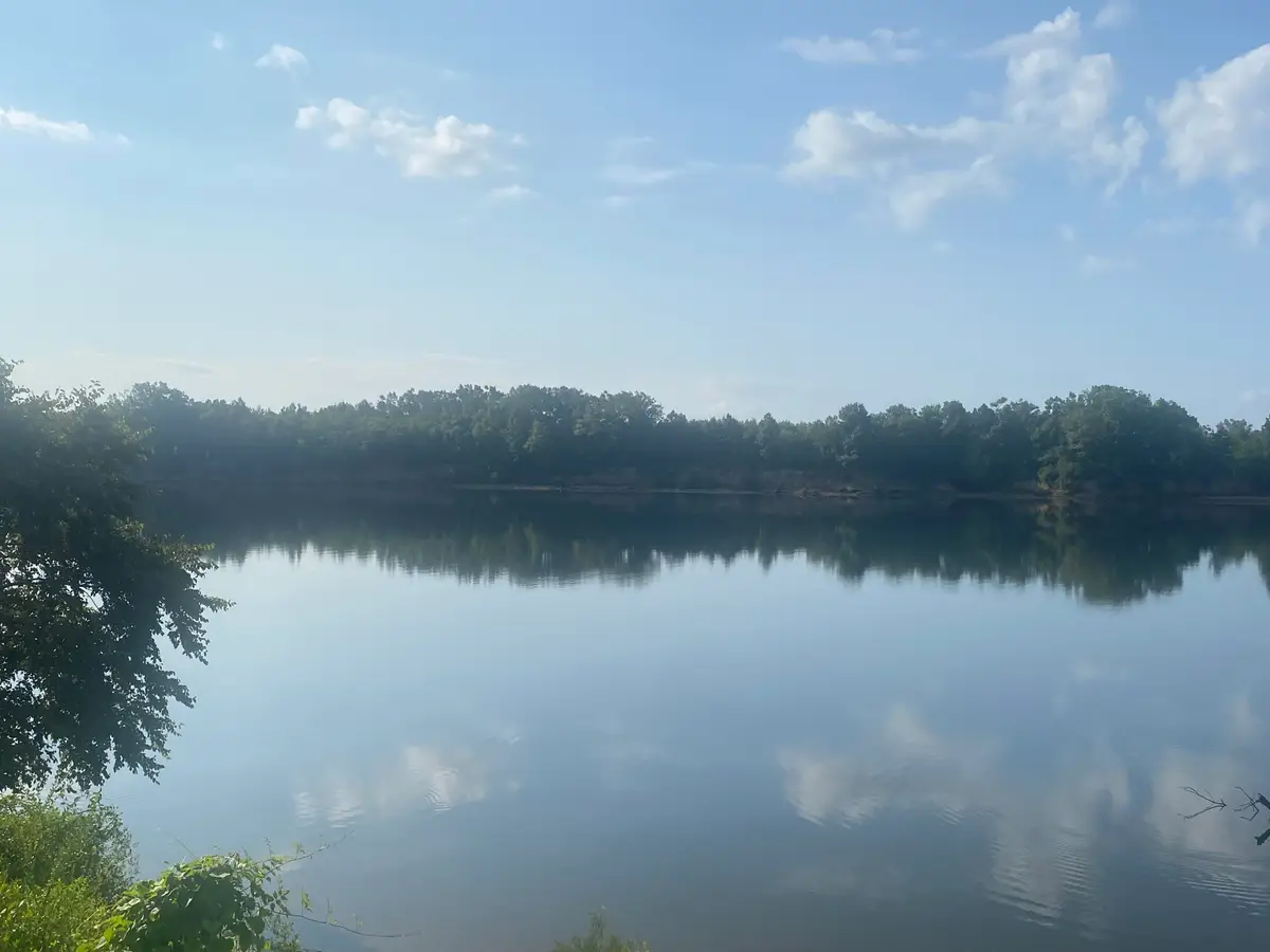 106 SANDY LN, Crump, TN 38327 - #1