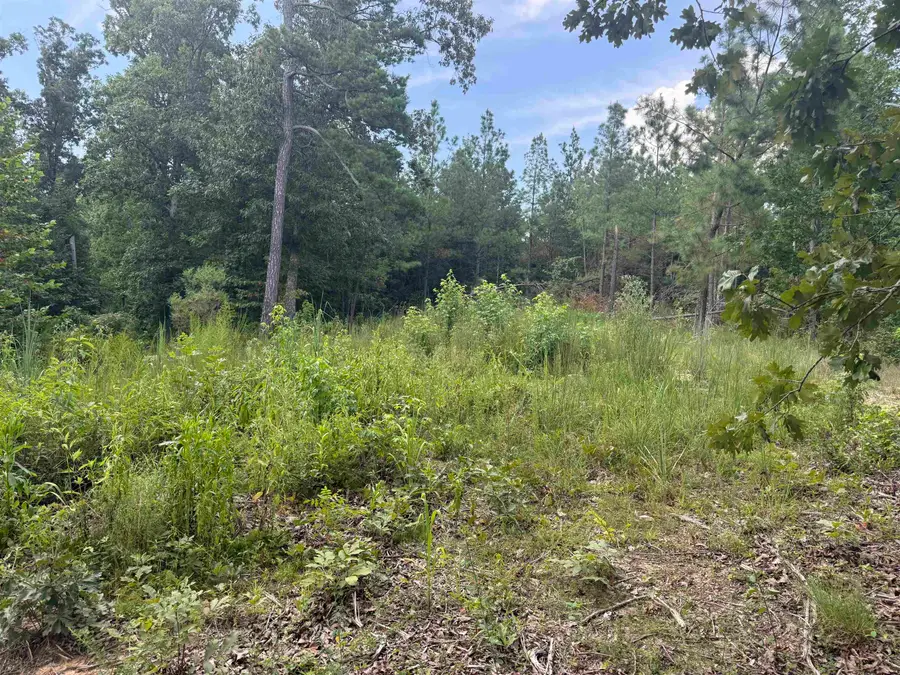 ROSE CREEK RD, Selmer, TN 38375 - #3