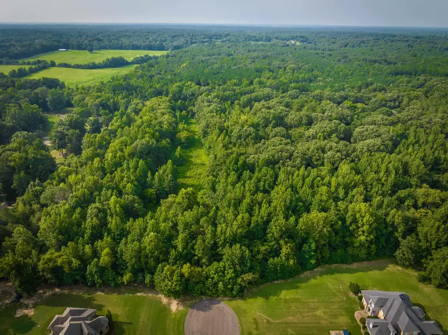 0 LATTING RD, Cordova, TN 38016 - #3