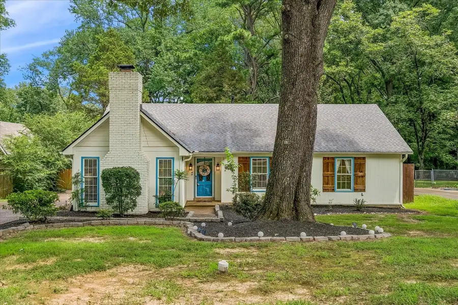 332 DOVE VALLEY RD, Collierville, TN 38017 - #3