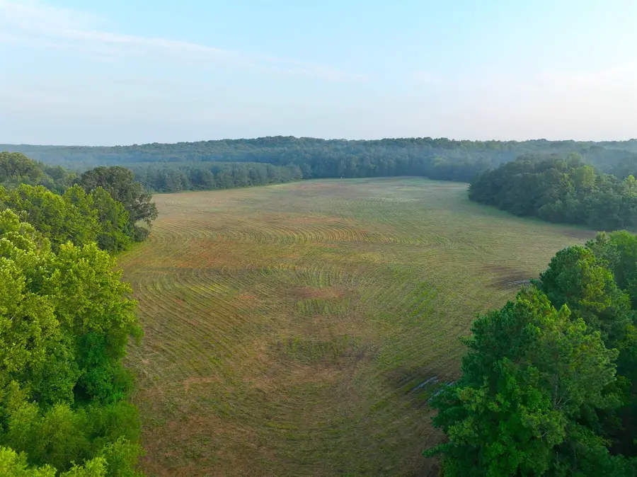 2530 WEST FORK RD, Grand Junction, TN 38039 - #2