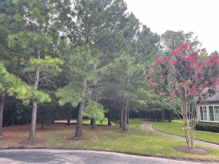 310 STONEVILLAGE DR E #9, Collierville, TN 38017 - #3