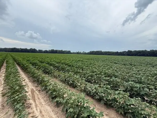 0 HWY 14 HWY, Millington, TN 38053