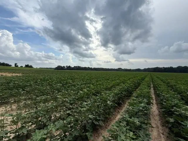0 HWY 14 HWY, Millington, TN 38053 - #2