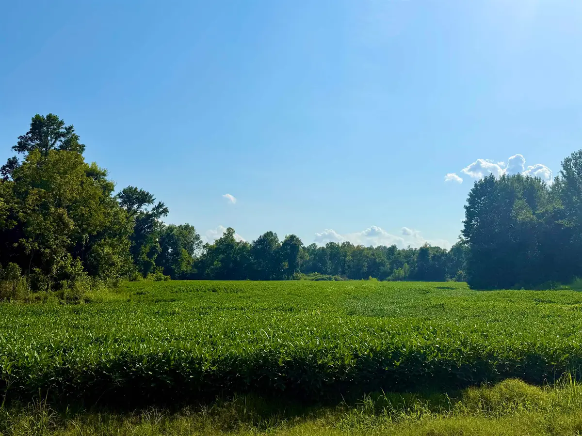 0 ADKINS RD, Burlison, TN 38015 - #1