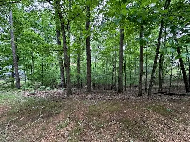 00 ANDERSON HOLLOW RD, Savannah, TN 38372 - #2