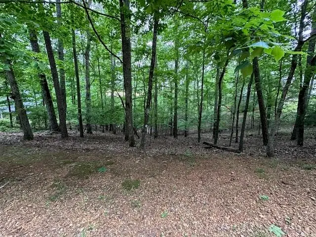 00 ANDERSON HOLLOW RD, Savannah, TN 38372 - #3