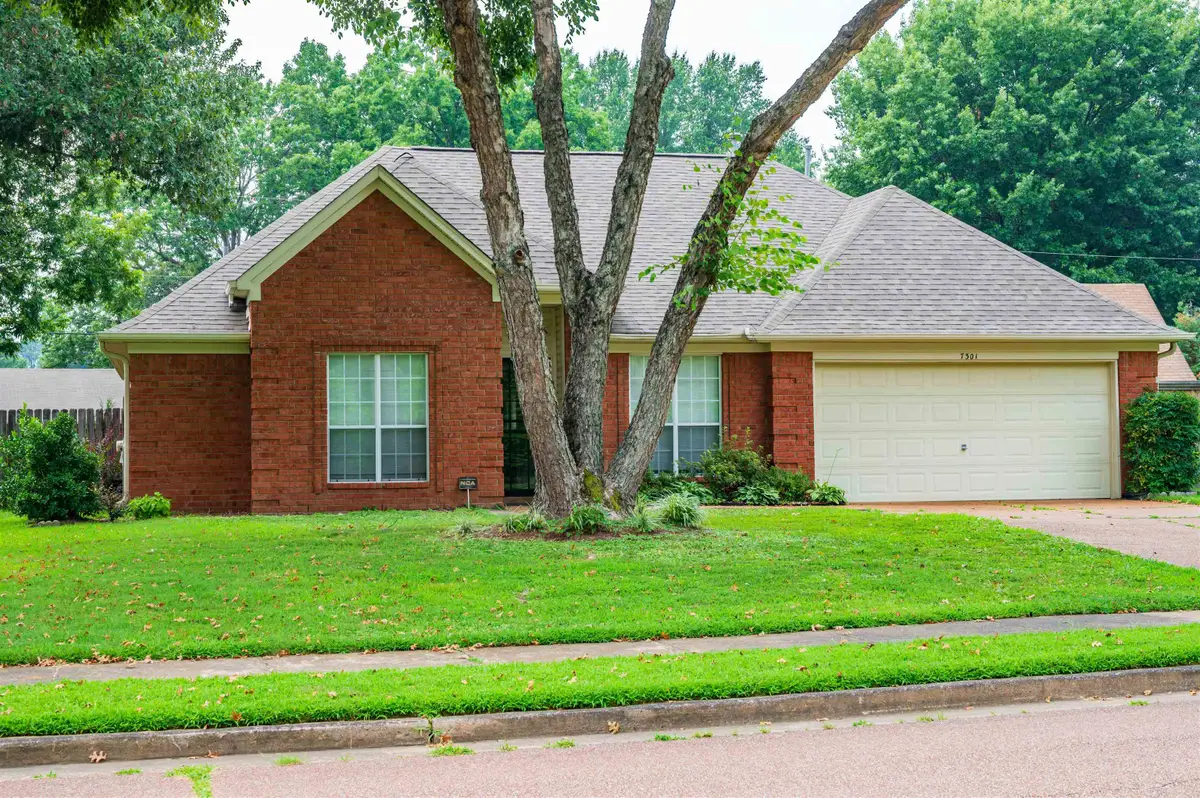 7301 GAIL DR, Bartlett, TN 38133 - #1