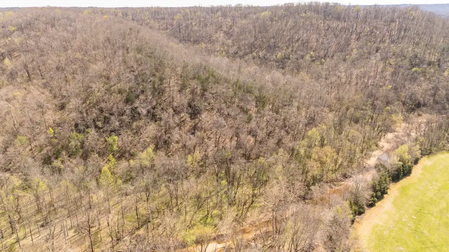 00 CLIFTON TURNPIKE RD, Waynesboro, TN 38485 - #2