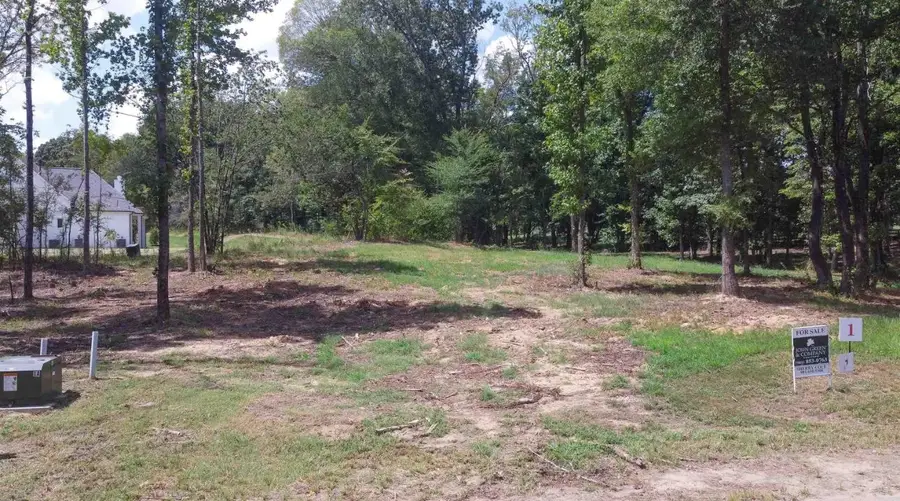 50 CROWN VISTA LN, Piperton, TN 38017 - #3