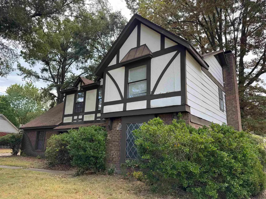 3778 BIRCHVALE DR, Memphis, TN 38125 - #2