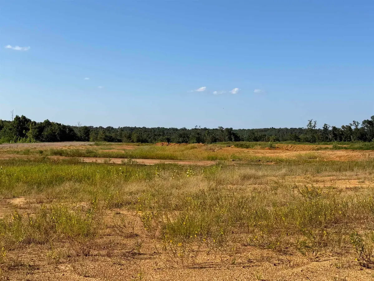 0 APPLE TREE LN, Crump, TN 38327 - #1