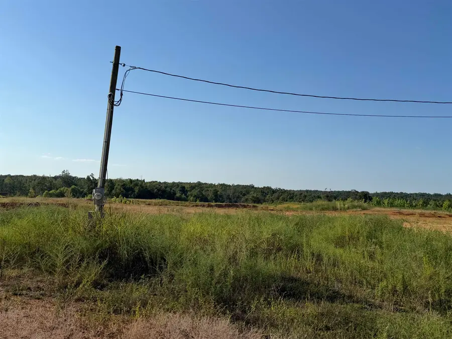0 APPLE TREE LN, Crump, TN 38327 - #3