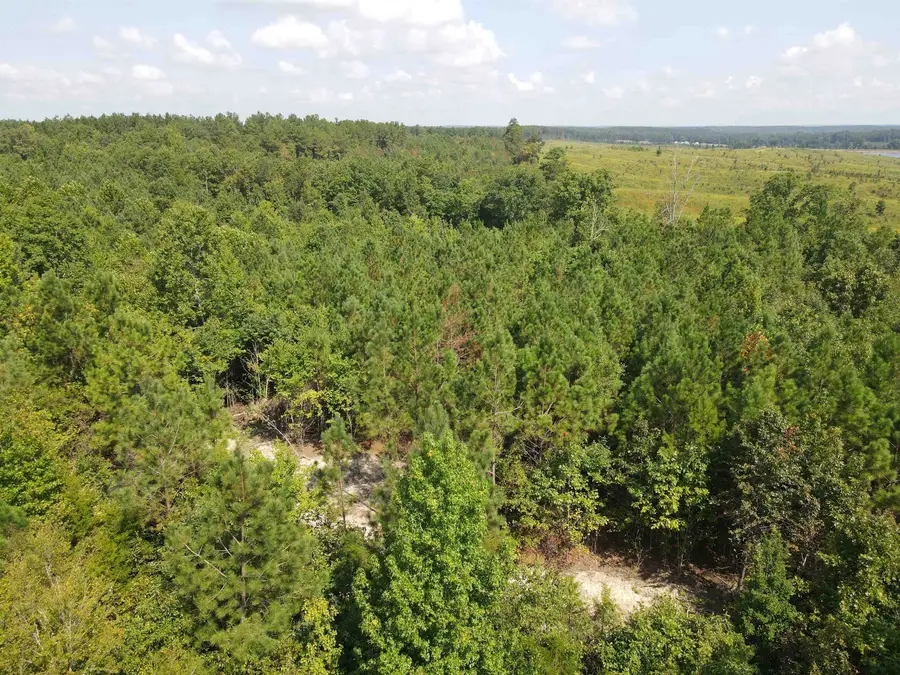 OTIS PAINE RD, Bethel Springs, TN 38315 - #2