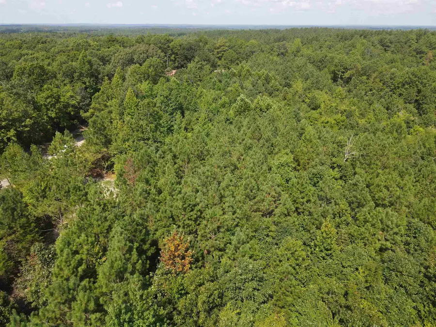 OTIS PAINE RD, Bethel Springs, TN 38315 - #3