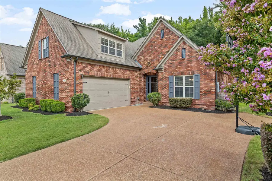 234 RED SEA DR, Collierville, TN 38017 - #3