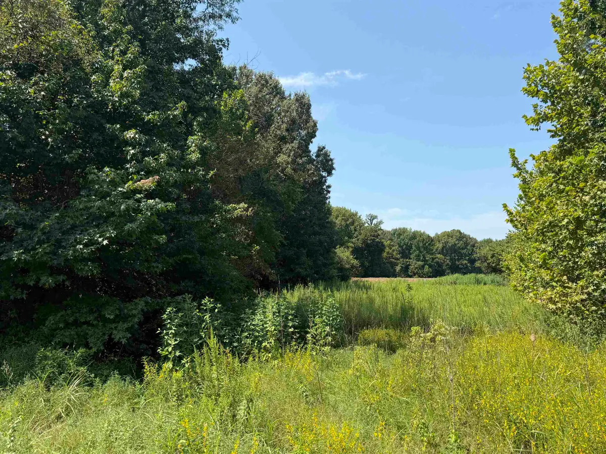 0 CRAD BASKIN DR, Burlison, TN 38015 - #1