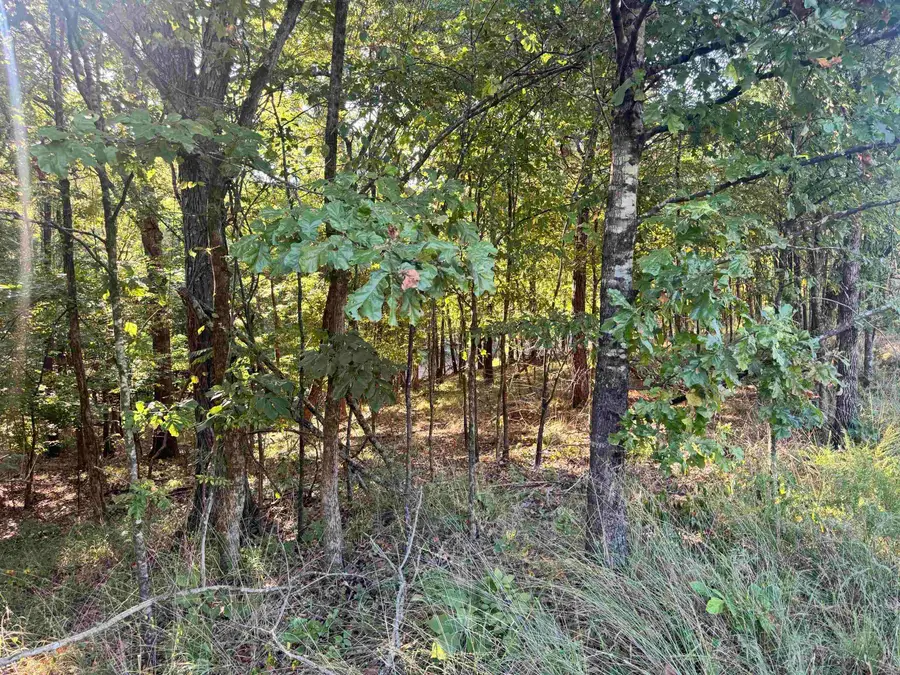 0 S RED BANKS RD, Byhalia, MS 38611 - #2