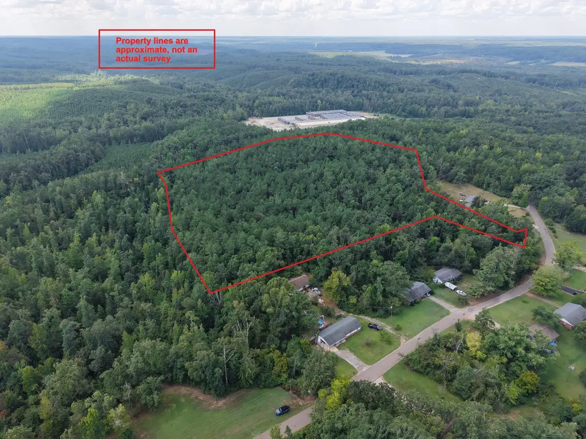 0 PREACHER DR, Counce, TN 38326 - #1