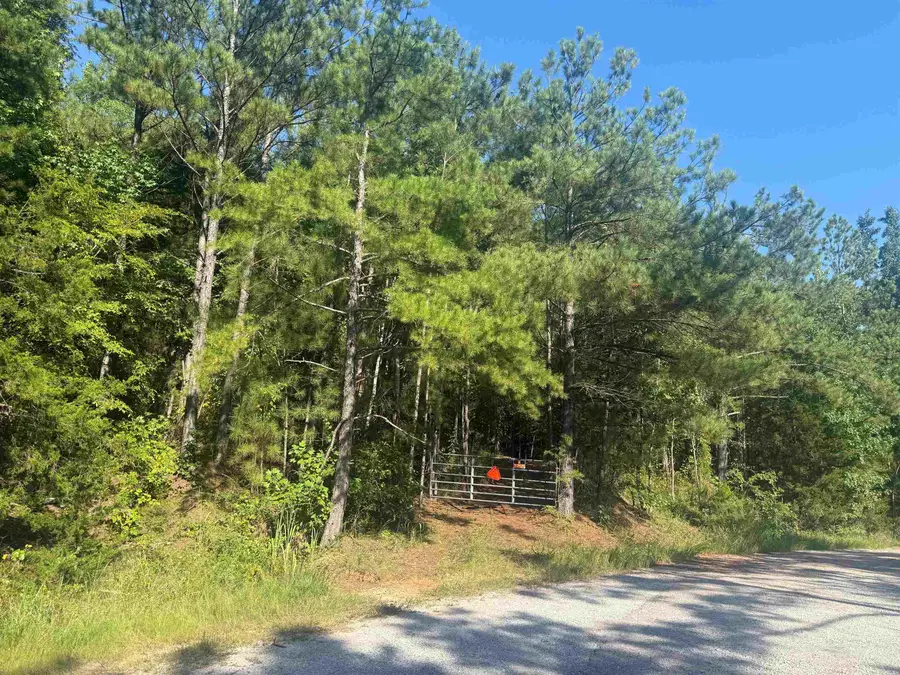 0 PREACHER DR, Counce, TN 38326 - #2