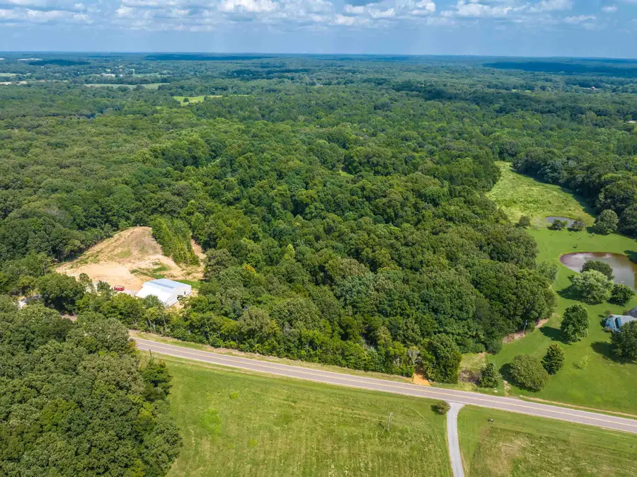0 OLD BROWNSVILLE RD, Somerville, TN 38068 - #2