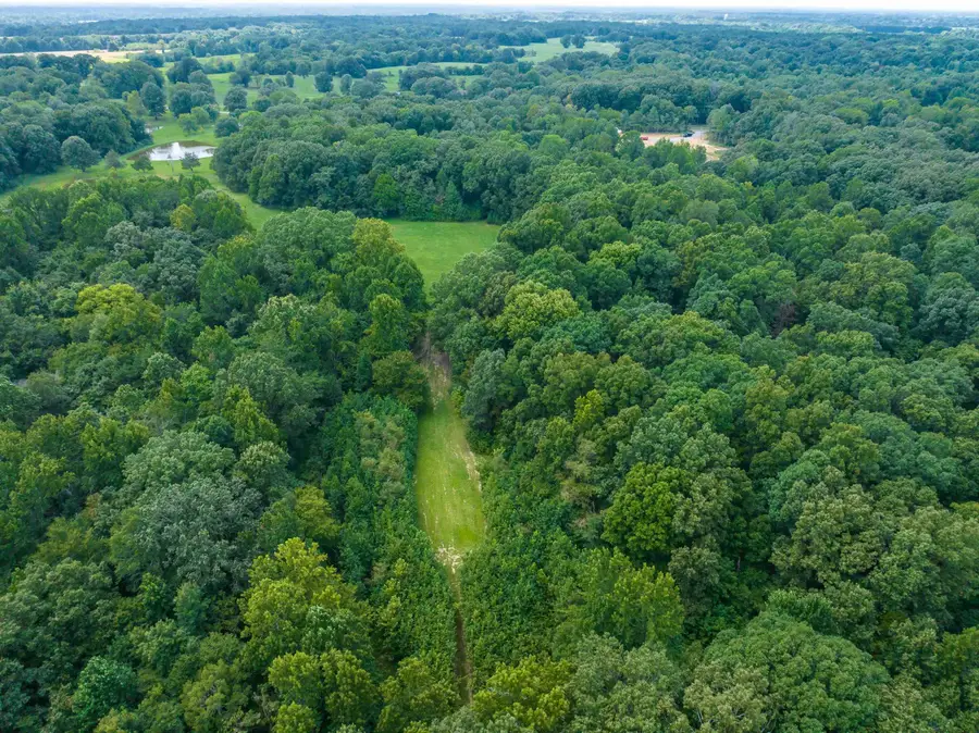 0 OLD BROWNSVILLE RD, Somerville, TN 38068 - #3