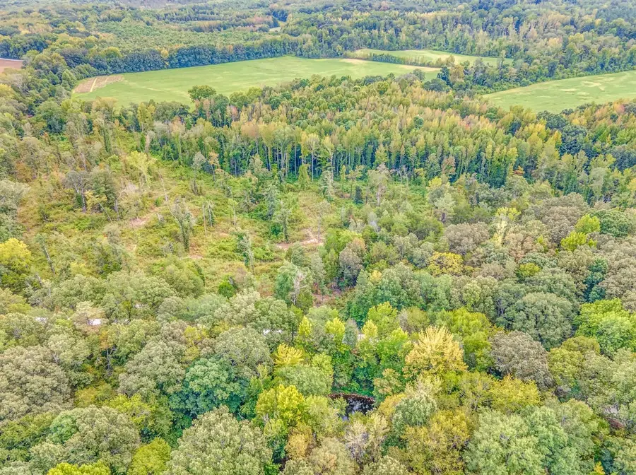 0 HILLVILLE LOOP, Whiteville, TN 38075 - #2