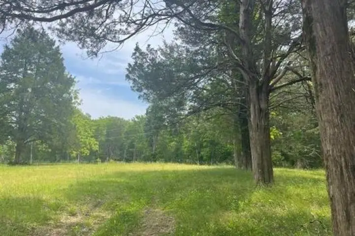 KAY LN, Somerville, TN 38068 - #1