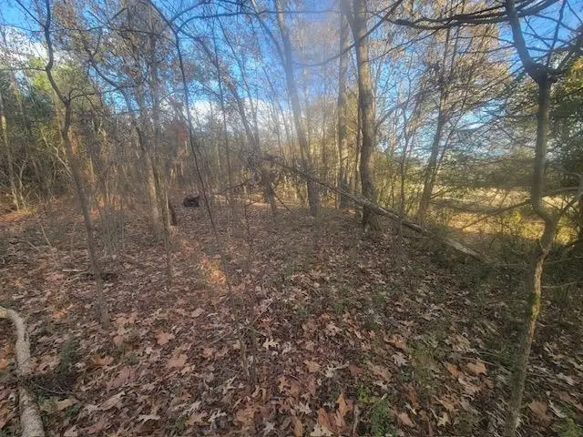 KAY LN, Somerville, TN 38068 - #3