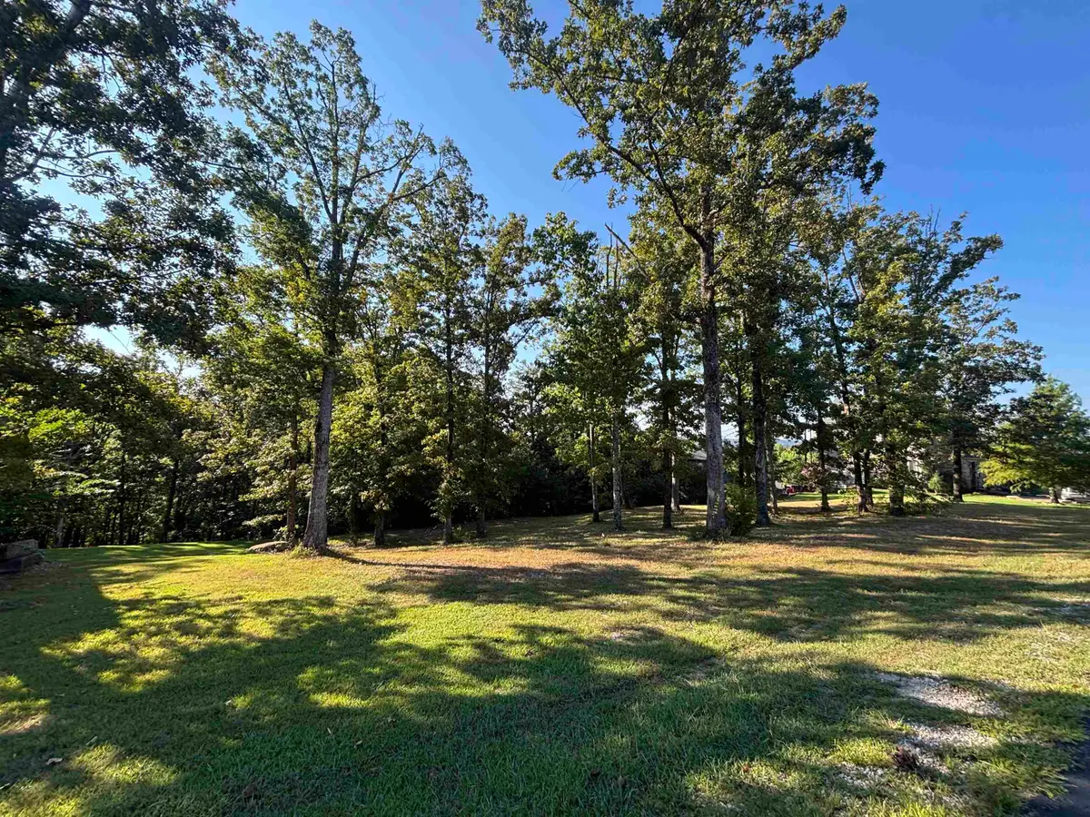 489 RIVERS EDGE DR #46, Bath Springs, TN 38311 - #1