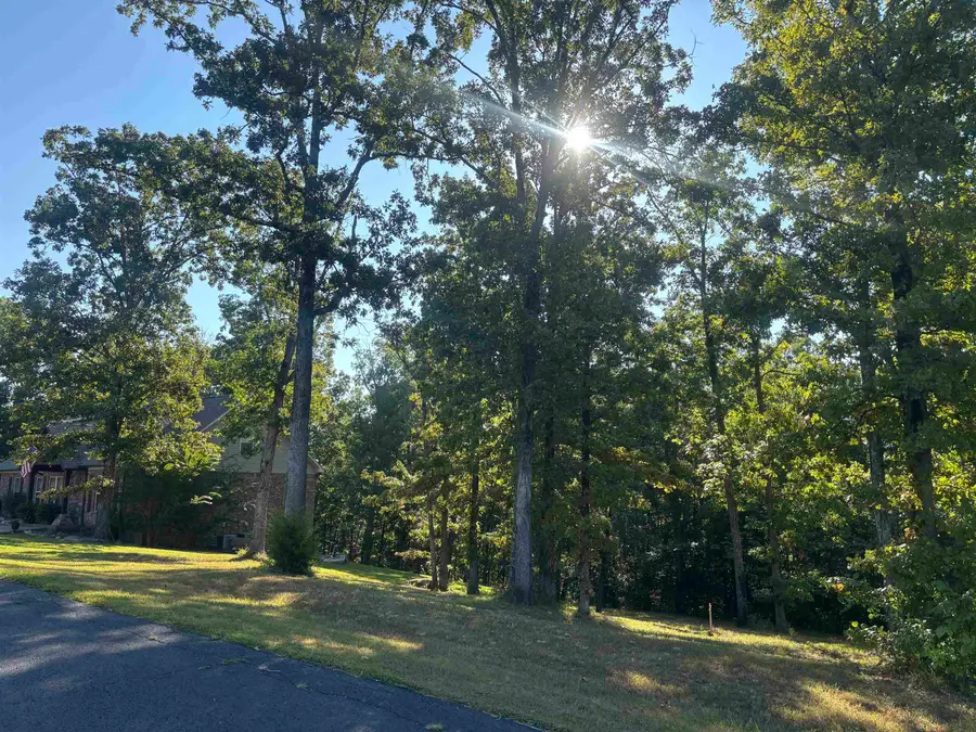 489 RIVERS EDGE DR #46, Bath Springs, TN 38311 - #3