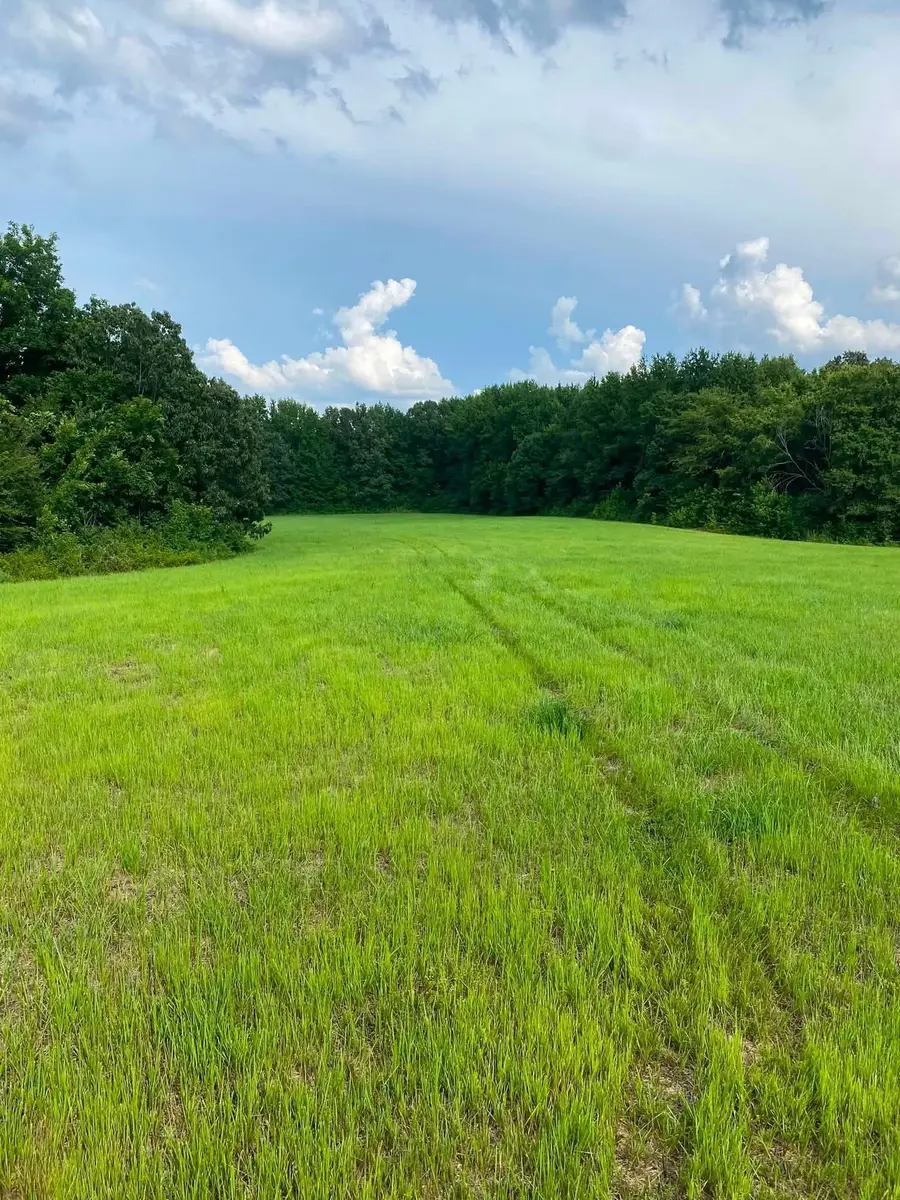 5925 FEATHERS CHAPEL DR, Somerville, TN 38068 - #2