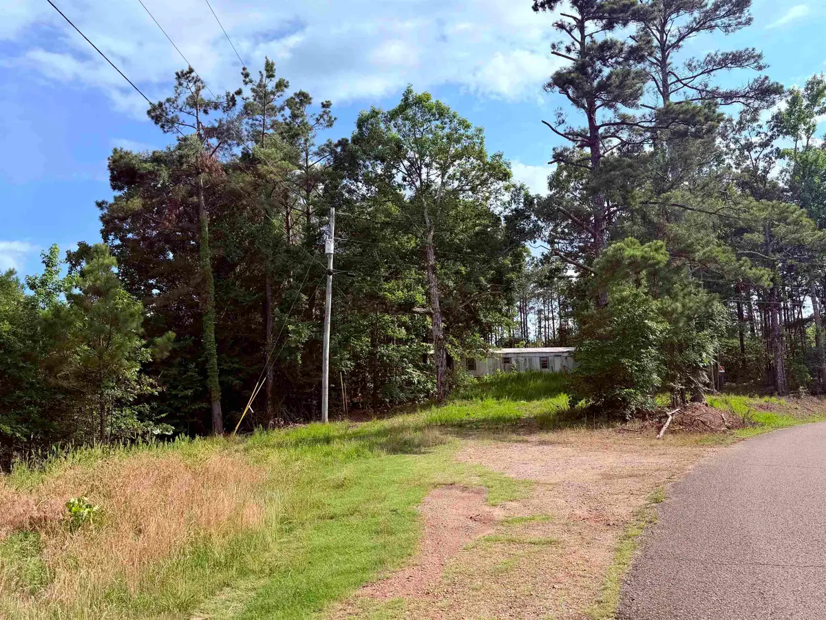 950 FEDDIE DAVIS RD, Selmer, TN 38375-5460 - #1