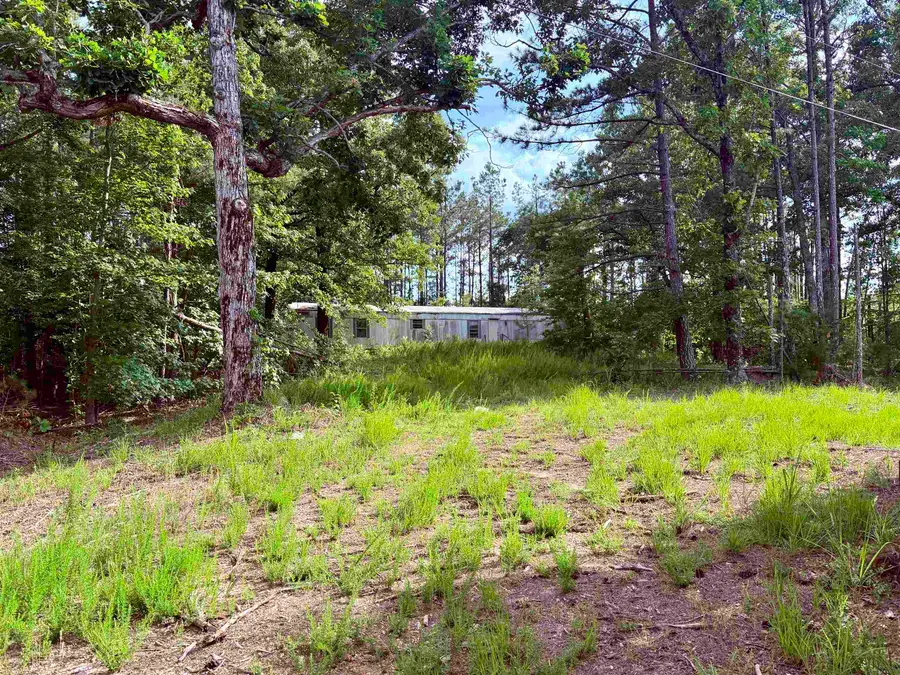 950 FEDDIE DAVIS RD, Selmer, TN 38375-5460 - #3