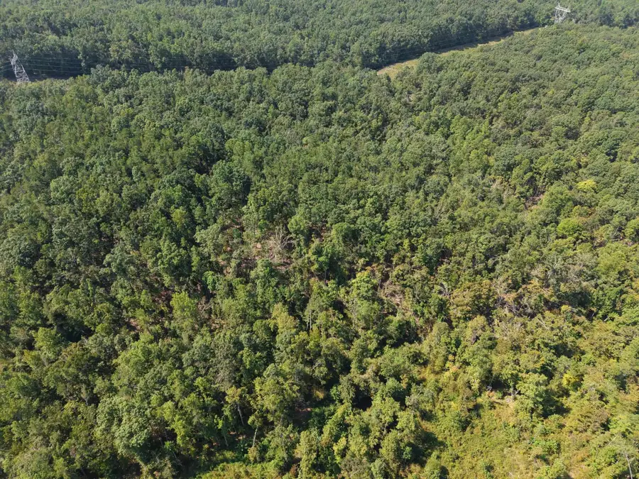 0 MEGAN LN, Savannah, TN 38372 - #3