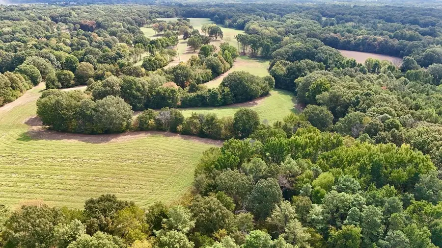 8 ANTWINE RD, Gadsden, TN 38337 - #3