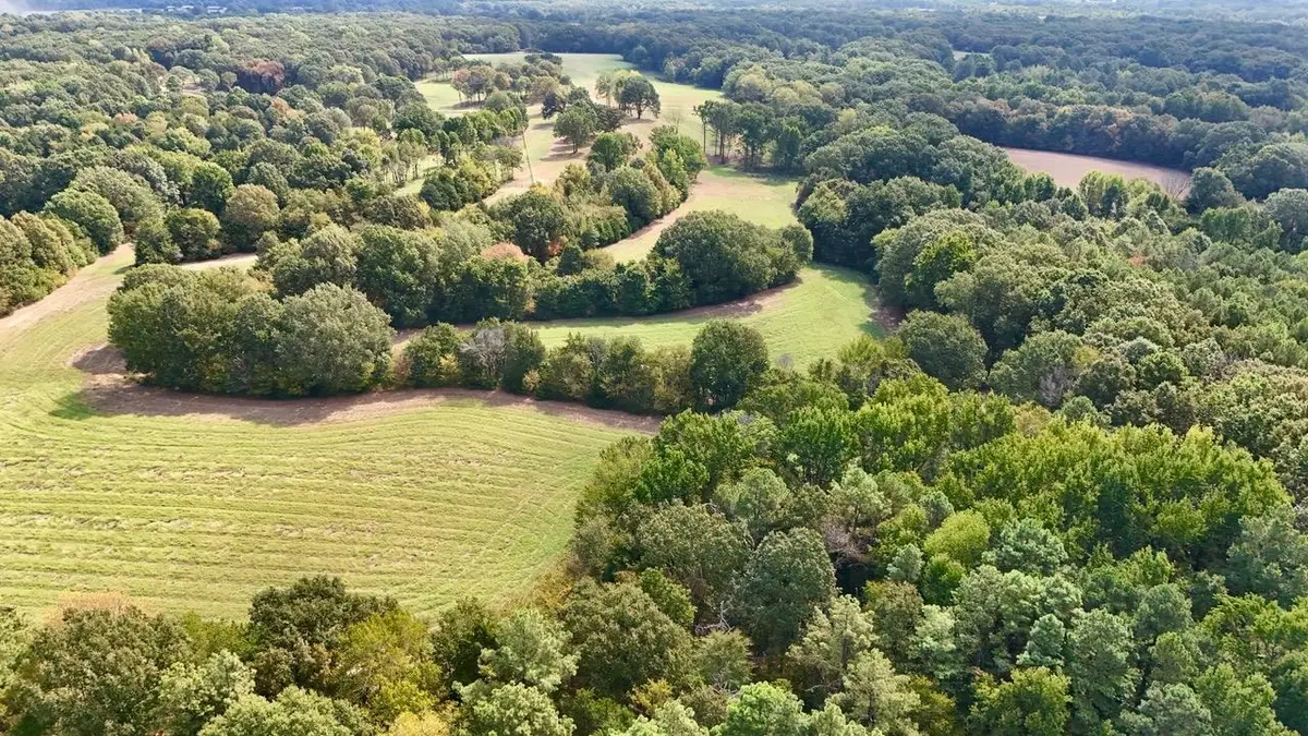 11 ANTWINE RD, Gadsden, TN 38337 - #1