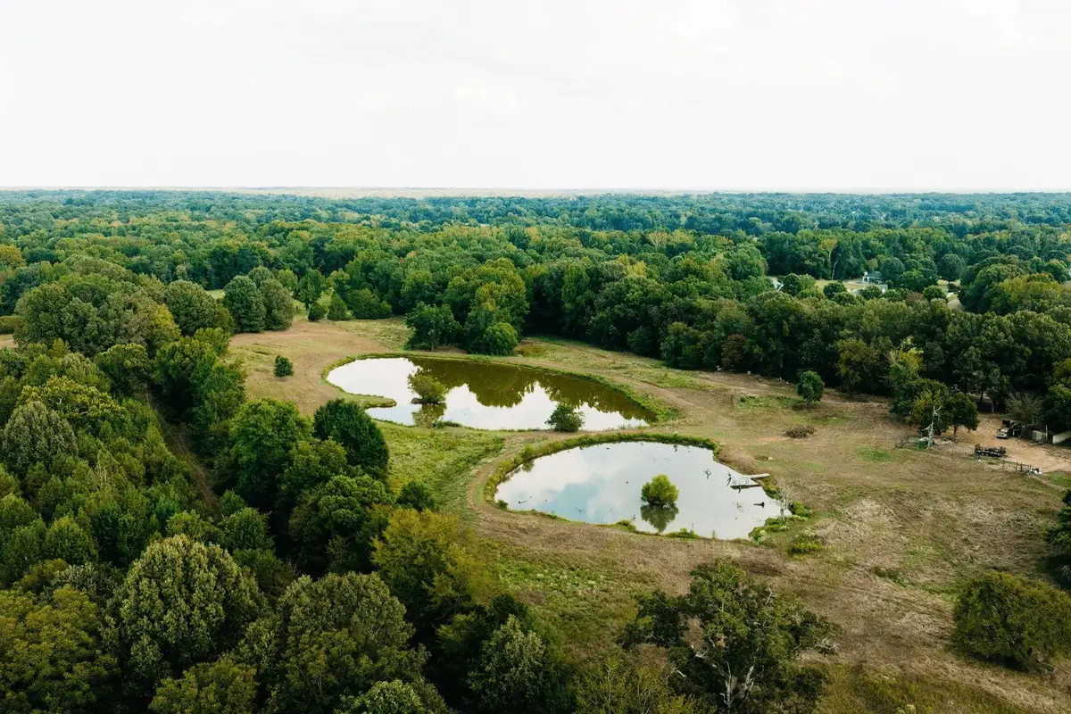 700 N REID-HOOKER RD, Eads, TN 38028 - #1