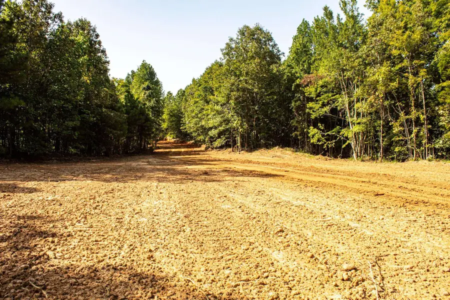 00 N HOWELL RD, Hornsby, TN 38044 - #2
