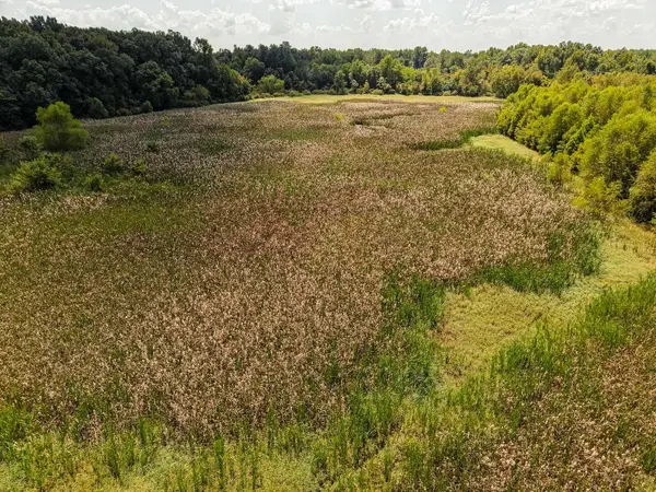 00 GALLOWAY LEVEE RD, Arlington, TN 38002